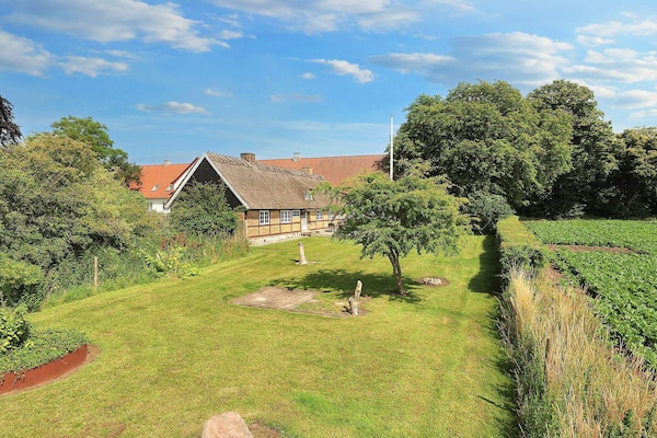 Jomsborg: Historisch vakantiehuis in het heuvelachtige Stevns, 7,5 km van zee - thumbnail 2