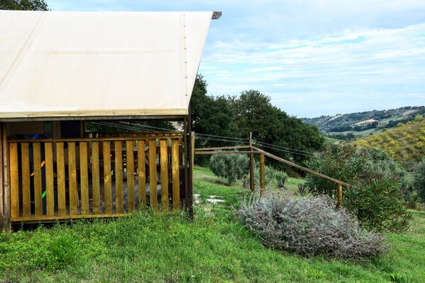 Luxe glamping tent voor 5 personen met zwembad, 5 km van Adriatische stranden - thumbnail 6