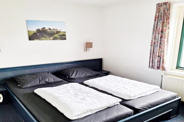 Vakantiehuis Zeemeeuw 170 in Breskens met sauna, 6 personen - thumbnail 4