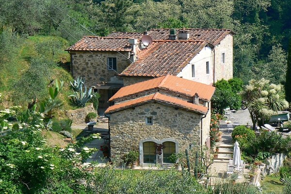 Verscholen vakantiehuis in Toscaanse olijfgaard bij Pescia - thumbnail 1