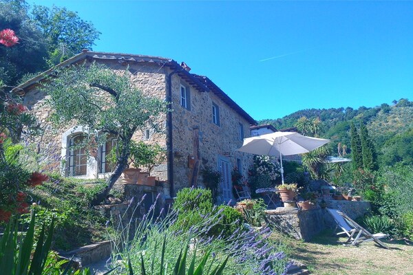 Verscholen vakantiehuis in Toscaanse olijfgaard bij Pescia - thumbnail 3