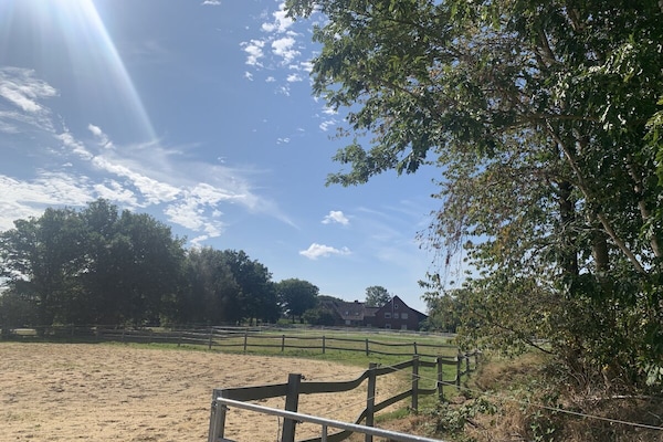 Paardenboerderij met privésauna en omheind terras in Holßel - thumbnail 3