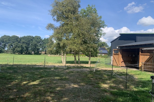 Paardenboerderij met privésauna en omheind terras in Holßel - thumbnail 4