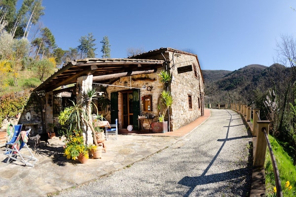 4-persoons landhuis met privézwembad in Lucca - thumbnail 2