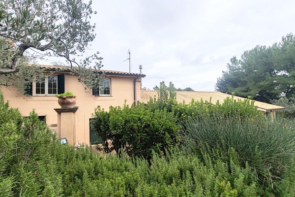 Rustiek appartement op 19e-eeuwse wijngaard bij Montefalco - thumbnail 4