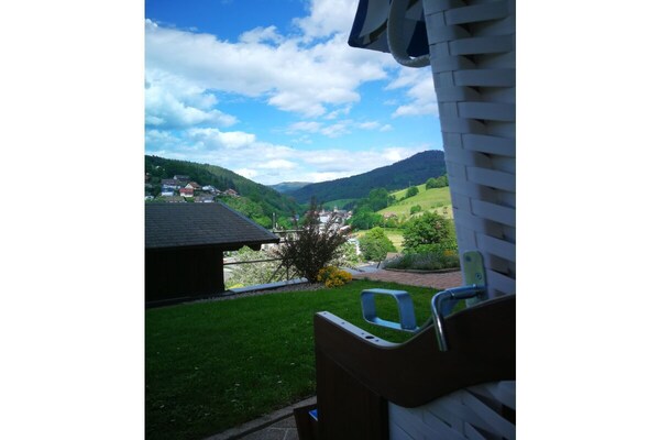 Modern appartement met overdekt terras en ligweide nabij Bad Peterstal - thumbnail 6