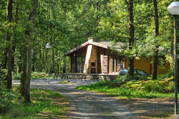 6-persoons chalet met houtkachel en loungebed in Viroinval - thumbnail 5