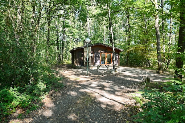 6-persoons chalet met houtkachel en uitzicht in Virtoine - thumbnail 5