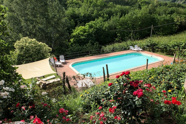 Authentiek vakantiehuis Pozzo in de Toscaans-Romaanse heuvels bij Modigliana - thumbnail 2