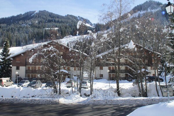 Résidence Le Mermy: knus appartement voor 8 bij de Linga-kabelbaan in Châtel - thumbnail 3