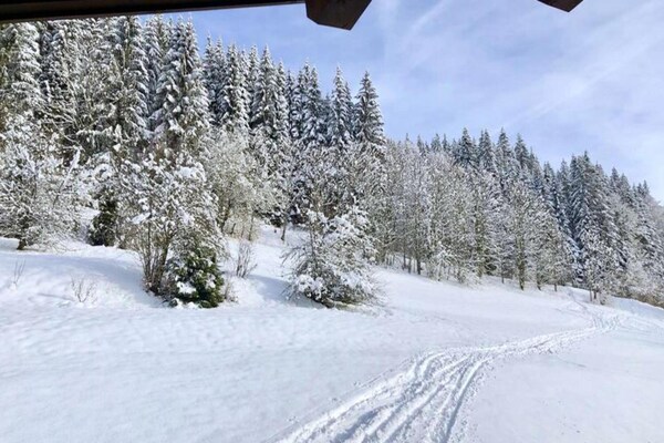 Appartement aan de piste in Morzine met groot balkon en garage - thumbnail 5