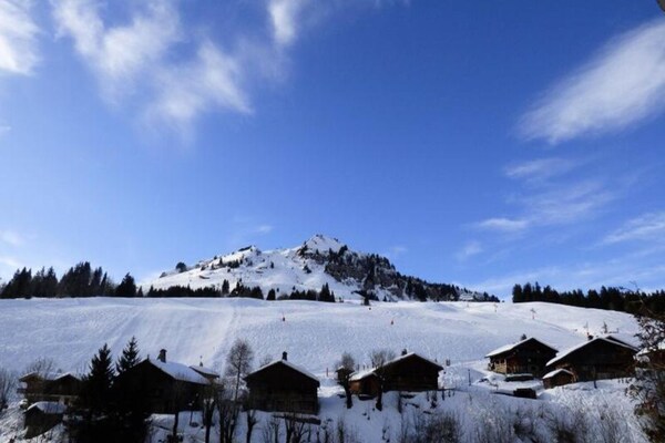 Appartement 6 pers. aan de piste in Le Grand Bornand met balkon op zuiden - thumbnail 4