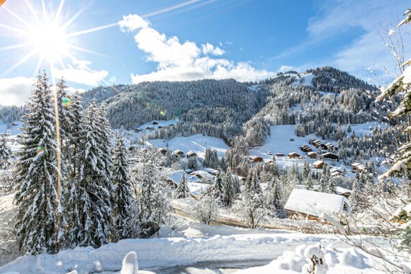 Ruim chalet voor 13 personen met sauna en terras nabij de pistes in La Clusaz - thumbnail 1