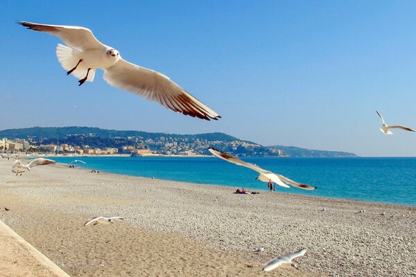 Gerenoveerd appartement op 100 meter van het strand met ruim terras in Nice - thumbnail 5
