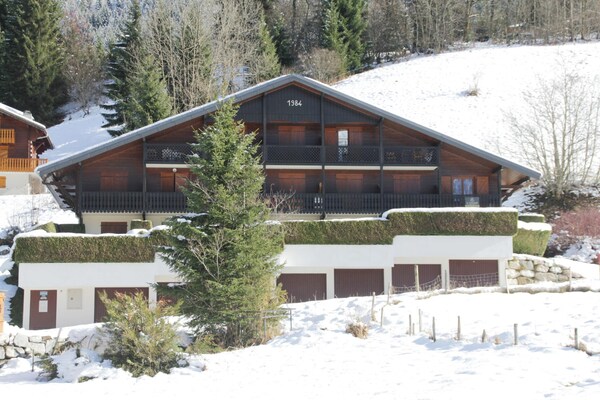 Knus appartement aan de golfbaan met bergzicht voor 3 personen in Châtel - thumbnail 2