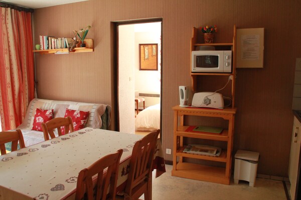 Appartement Châtel met uitzicht op de Abondance-vallei, vlakbij de skilift - thumbnail 6