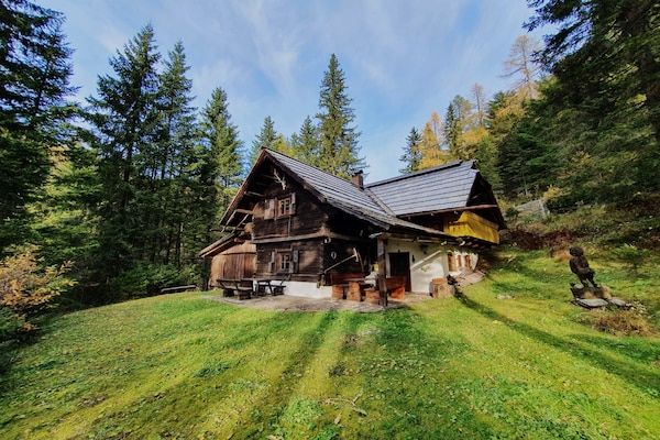 Ruim appartement Chalet Hüttentraum in Bad Kleinkirchheim - thumbnail 1