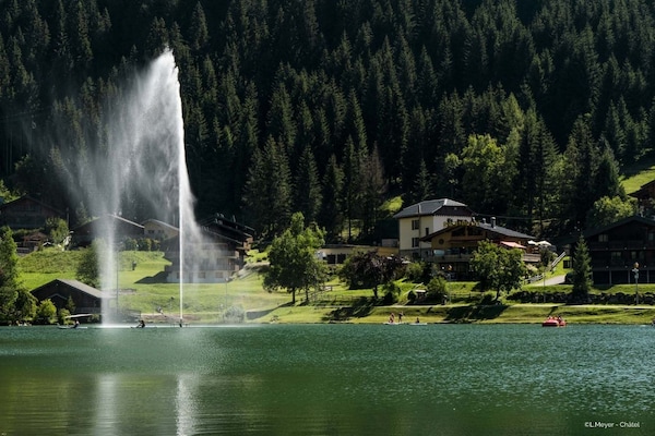 Op 300 m van de piste: Gezellig appartement in Châtel voor 4 personen (2) - thumbnail 2