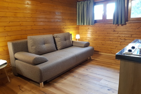 Knusse studio direct aan de piste in Bad Kleinkirchheim - thumbnail 2