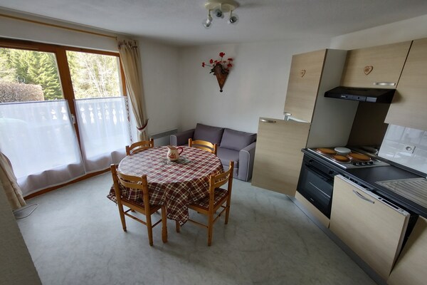 Knus appartement aan de golfbaan met bergzicht voor 4 personen in Châtel - thumbnail 4