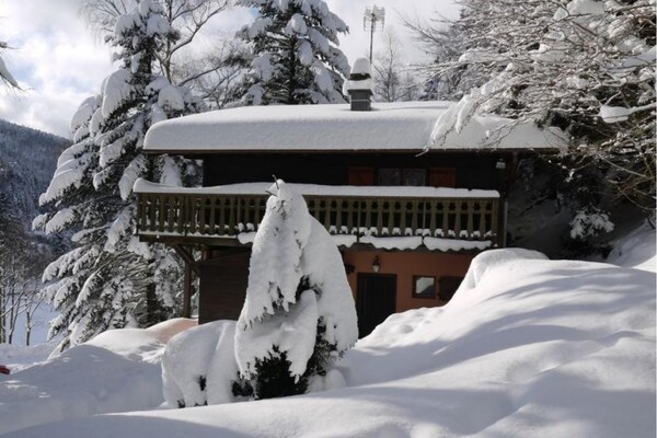 Houten chalet met bergzicht voor 8 personen in La Bresse - thumbnail 4