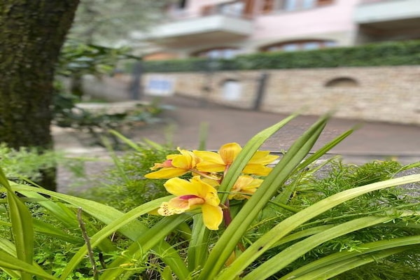 Ruim appartement met meerzicht in Limone sul Garda · 2 pers. - thumbnail 5