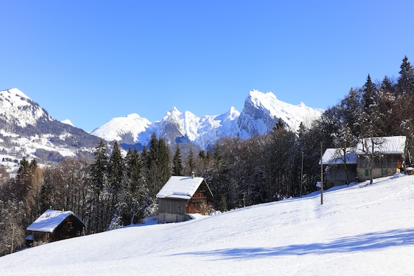Knus appartement op 100m van de skilift in Morillon - thumbnail 6