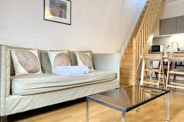 Historisch appartement met mezzanine in hartje Grenoble, vlakbij Place Vaucanson - thumbnail 2