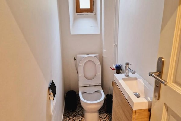 Ruim 3-kamerappartement in levendig Grenoble, huisdieren welkom - thumbnail 1