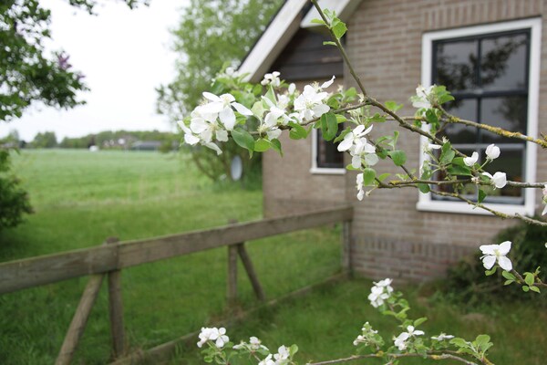 \'t Haske \'t Haske