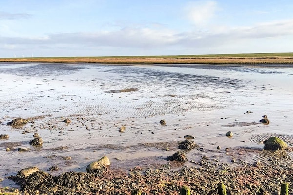 Knus vakantiehuis voor 2 met whirlpool en uitzicht op de Waddenzee bij Højer - thumbnail 6