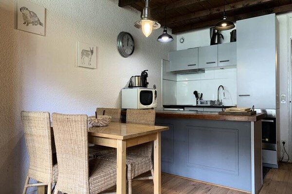 Knus studio appartement aan de piste in Pra-Loup 1600 - thumbnail 2