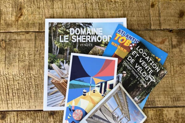 Koreaans thema-appartement met privéspa bij bos en strand in Notre-Dame-de-Monts - thumbnail 1