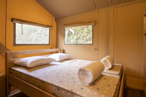 Ruim appartement Dreamer 49 in Dochamps voor 7 personen - thumbnail 5