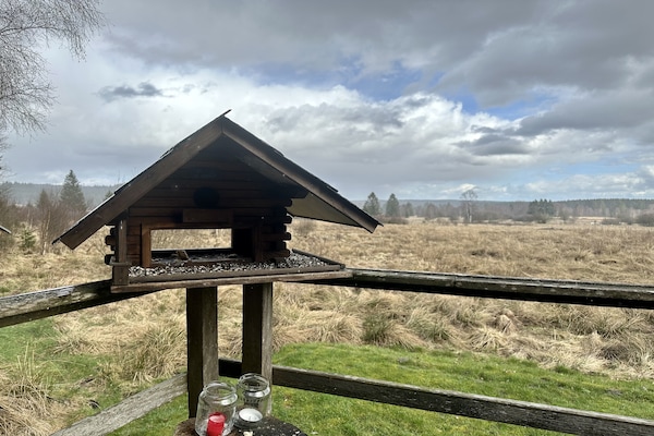 Op 400 m van de piste: knus 2-persoons chalet in Waimes - Sourbrodt - thumbnail 6