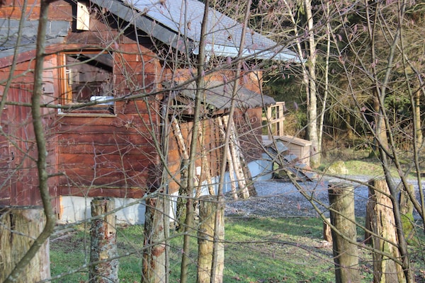 Op 400 m van de piste: knus 2-persoons chalet in Waimes - Sourbrodt - thumbnail 5
