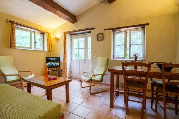 Authentiek appartement op 6 ha domein met zwembad in Flayosc, Provence - thumbnail 3