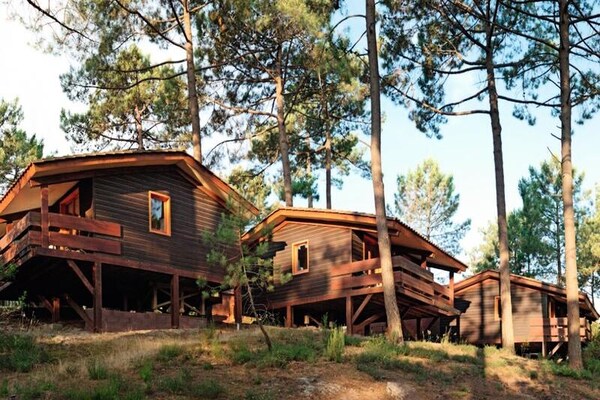 Rustiek appartement voor 6 in het bos bij Lac de Carcans, vlakbij oceaan - thumbnail 3