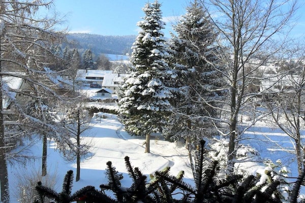 Gerenoveerd appartement in Hinterzarten met panoramisch uitzicht op de bergen - thumbnail 5