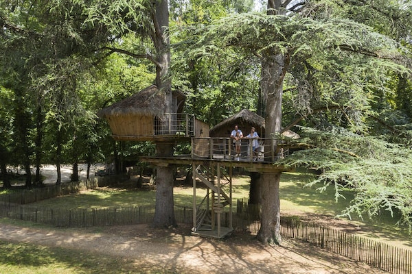 Natuuravontuur in Magné: Familie-appartement op 12 hectare groen - thumbnail 1