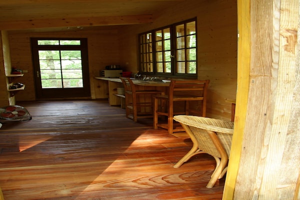 Unieke Sequoia Wood Ecolodge in het bos van Sos - thumbnail 4