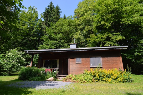 Knus chalet voor 5 in de bossen bij Bouillon, hondvriendelijk - thumbnail 6