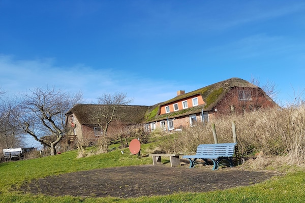 Sfeervol vakantiehuis op Pellworm met panoramisch uitzicht - thumbnail 5