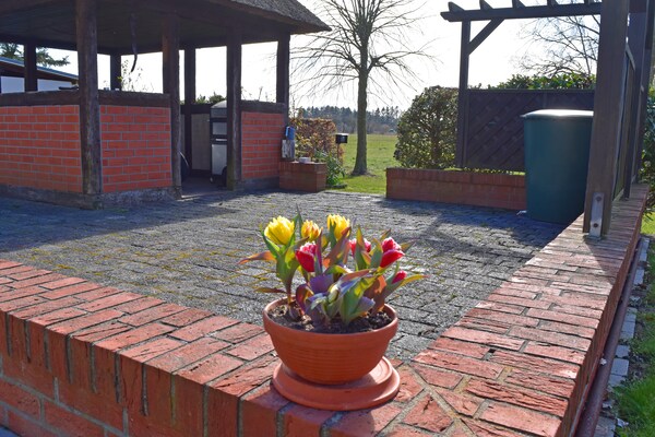 Vakantieappartement onder rieten dak bij Salzhaff en Oostzee - thumbnail 4