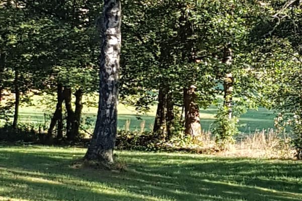 Gerenoveerd molenappartement voor 18 personen met sauna in Bad Berleburg - thumbnail 3
