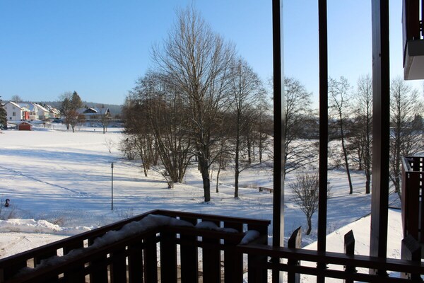 Modern appartement in Schluchsee met sauna, zwembad en balkon - thumbnail 4