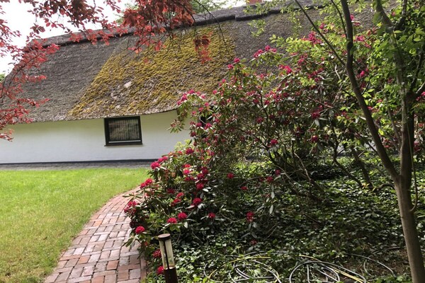 Moorhäuschen in Grasberg: Creatieve oase voor 4 personen met grote tuin - thumbnail 3