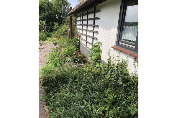 Moorhäuschen in Grasberg: Creatieve oase voor 4 personen met grote tuin - thumbnail 4