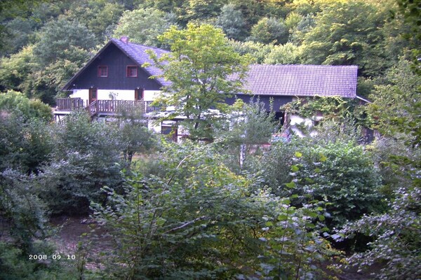 Knus vakantiehuis voor 4 in de Eifel bij Lutzerath - thumbnail 3