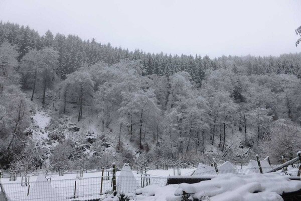 Knus vakantiehuis voor 4 in de Eifel bij Lutzerath - thumbnail 5
